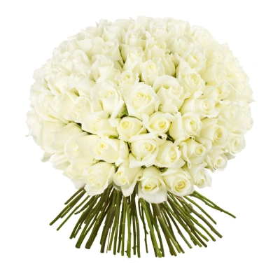 Роскошный букет из 101 белой розы – воплощение бесконечной любви Еманжелинск Челябинская область