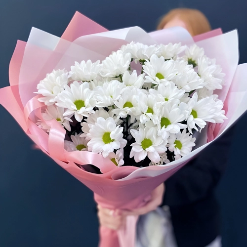 Букет «Розовое счастье» – нежность белых хризантем Еманжелинск Челябинская область