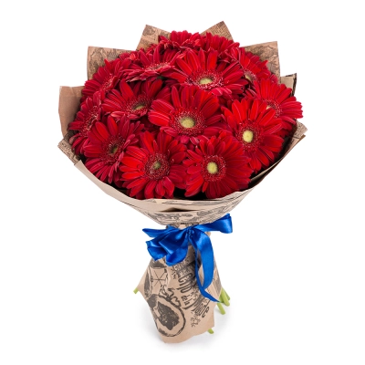 Яркий букет из 15 красных гербер – воплощение страсти и жизнерадостности Еманжелинск Челябинская область