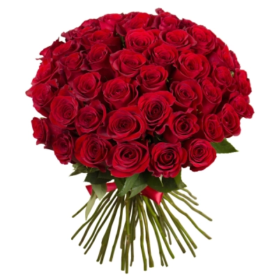 Букет «О, Шарман!» – 51 роскошная эквадорская роза Еманжелинск Челябинская область