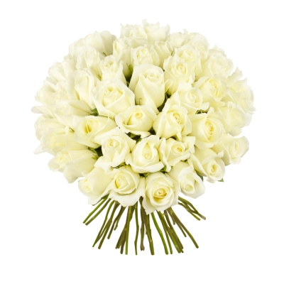Роскошный букет из 51 белой розы – символ безграничной преданности Еманжелинск Челябинская область