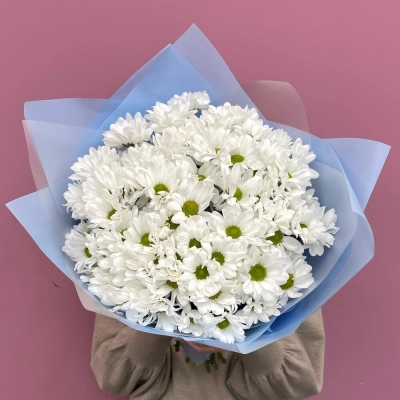 Букет «Ромашковое поле» – свежесть белых хризантем Еманжелинск Челябинская область