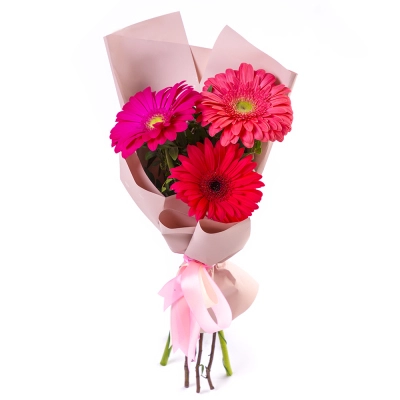 Яркий букет из 3 разноцветных гербер – маленькое чудо в ваших руках Еманжелинск Челябинская область