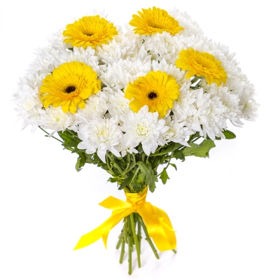 Солнечный букет из желтых гербер и белых хризантем – радость в каждом лепестке Еманжелинск Челябинская область