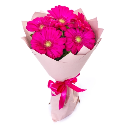 Букет из 5 малиновых гербер – сочный акцент вашего подарка Еманжелинск Челябинская область