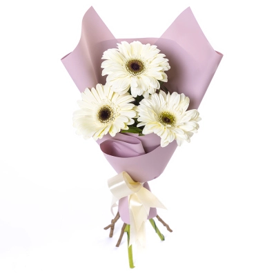 Нежный букет из 3 белых гербер – символ искренности и света Еманжелинск Челябинская область