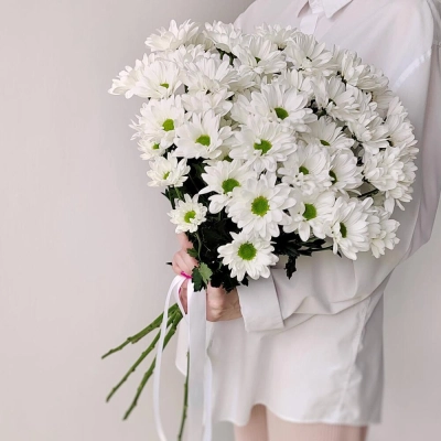 Букет «Ромашка» – 9 белоснежных хризантем в деревенском стиле Еманжелинск Челябинская область
