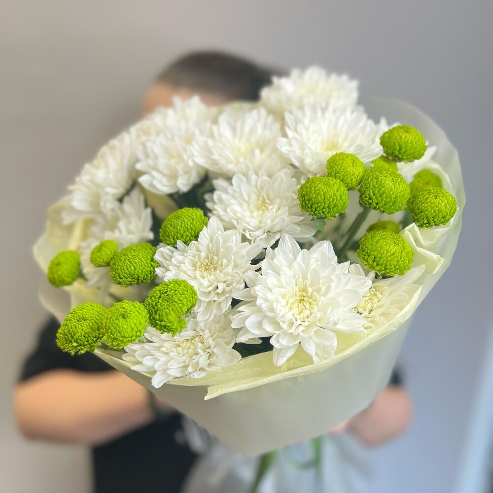 Эксклюзивный букет «Филин Грин» – сочетание белых и зеленых хризантем Еманжелинск Челябинская область