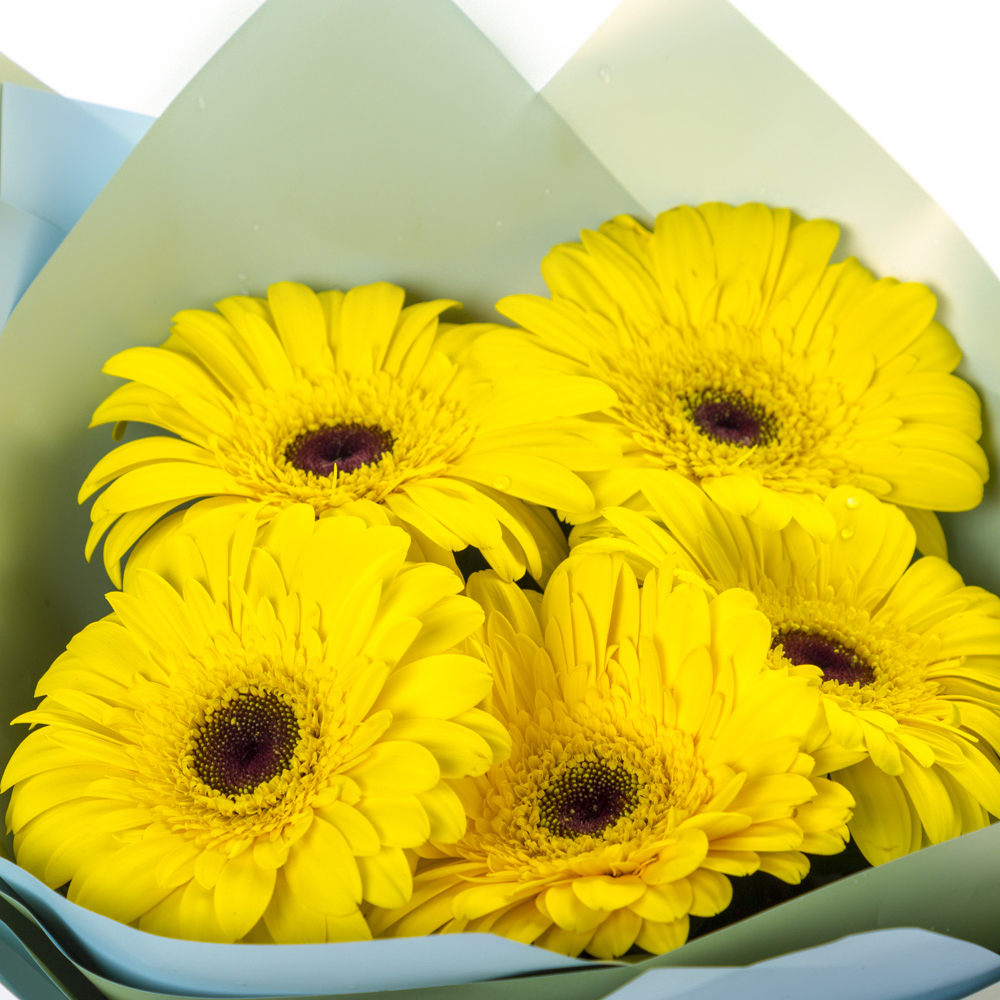 Яркий букет из 5 жёлтых гербер – как кусочек солнца в ваших руках Еманжелинск Челябинская область
