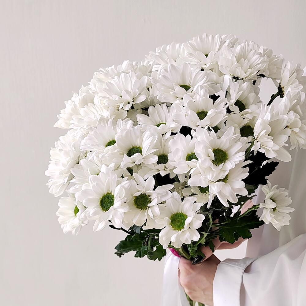 Букет «Ромашка» – 9 белоснежных хризантем в деревенском стиле Еманжелинск Челябинская область