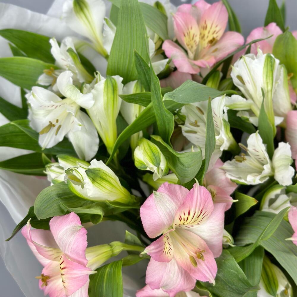 Букет «Нежность» – трогательное сочетание белых и розовых альстромерий Еманжелинск Челябинская область