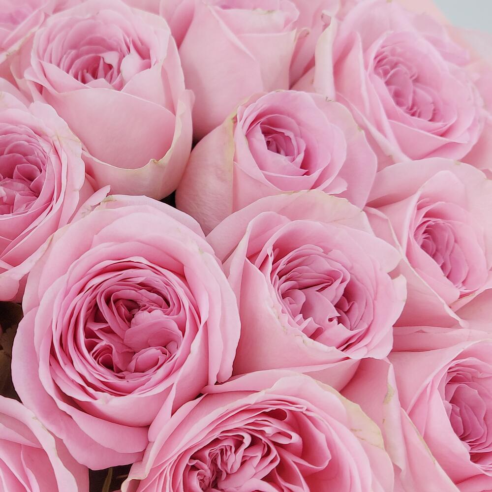 Букет из нежно-розовых роз – элегантность в каждом лепестке Еманжелинск Челябинская область