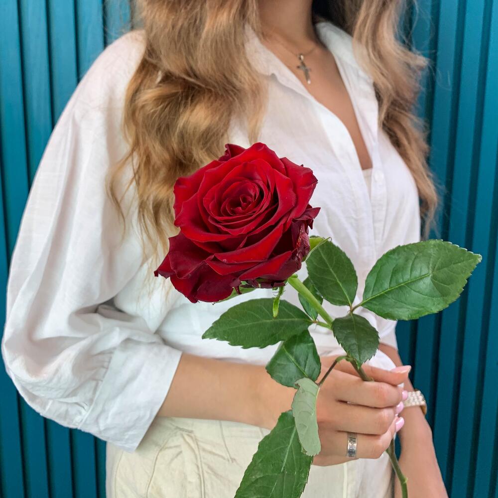 Комплимент из красной эквадорской розы – минимализм роскоши Еманжелинск Челябинская область
