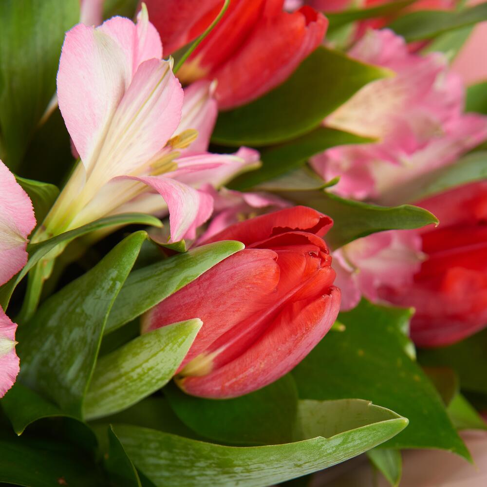 Букет «Первый поцелуй» красных тюльпанов и розовых альстромерий Еманжелинск Челябинская область