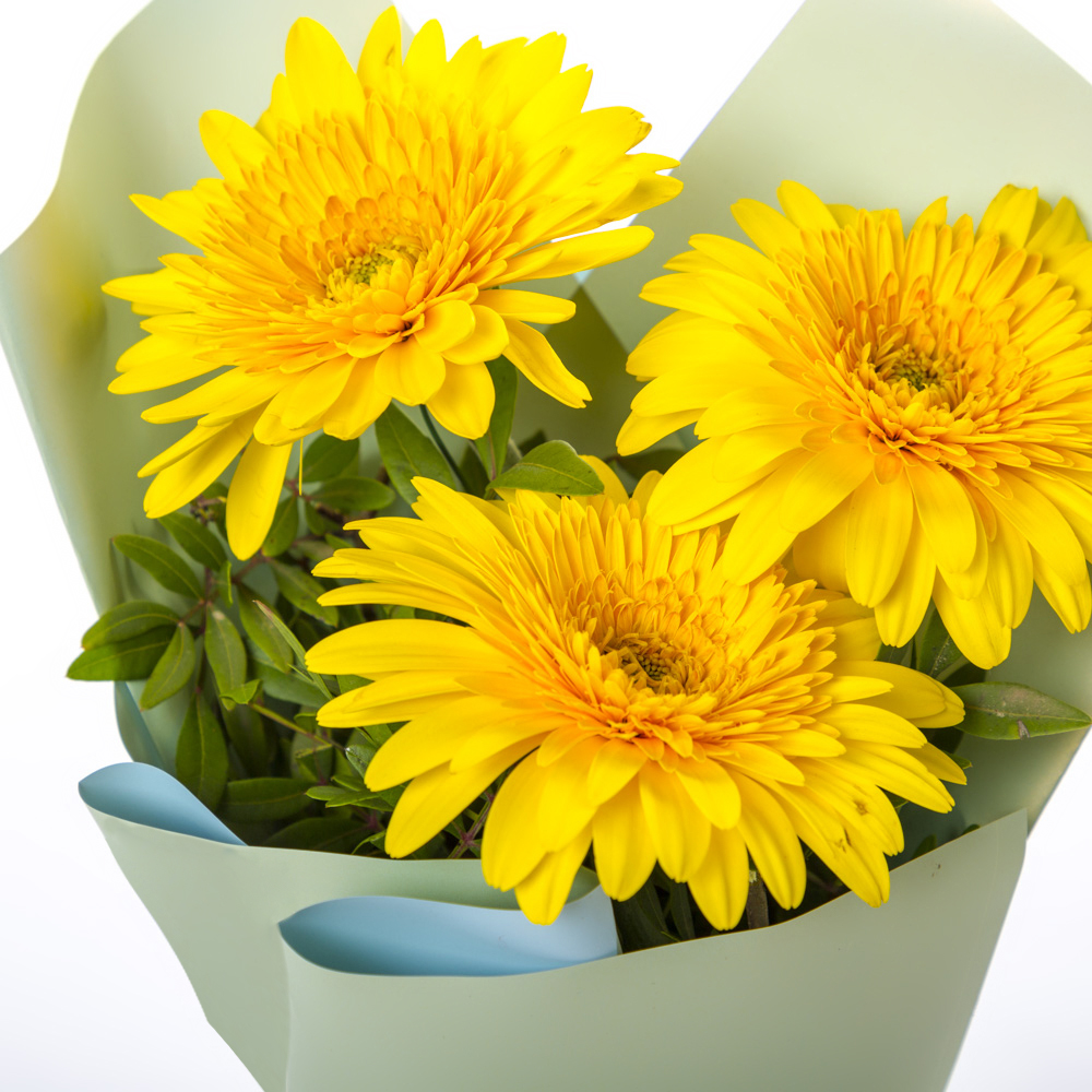 Яркий букет из 3 жёлтых гербер – частичка солнечного света Еманжелинск Челябинская область