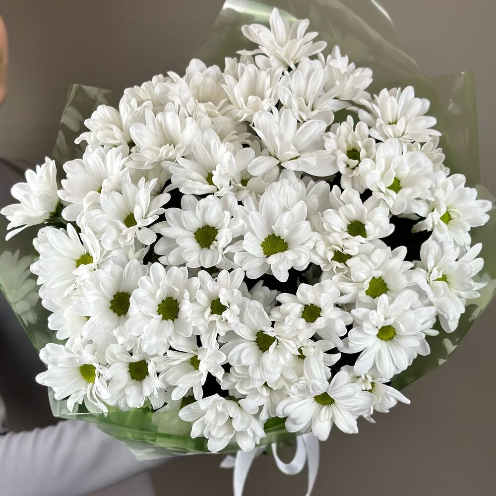 Букет «Мечты о лете» – свежесть белых хризантем Еманжелинск Челябинская область