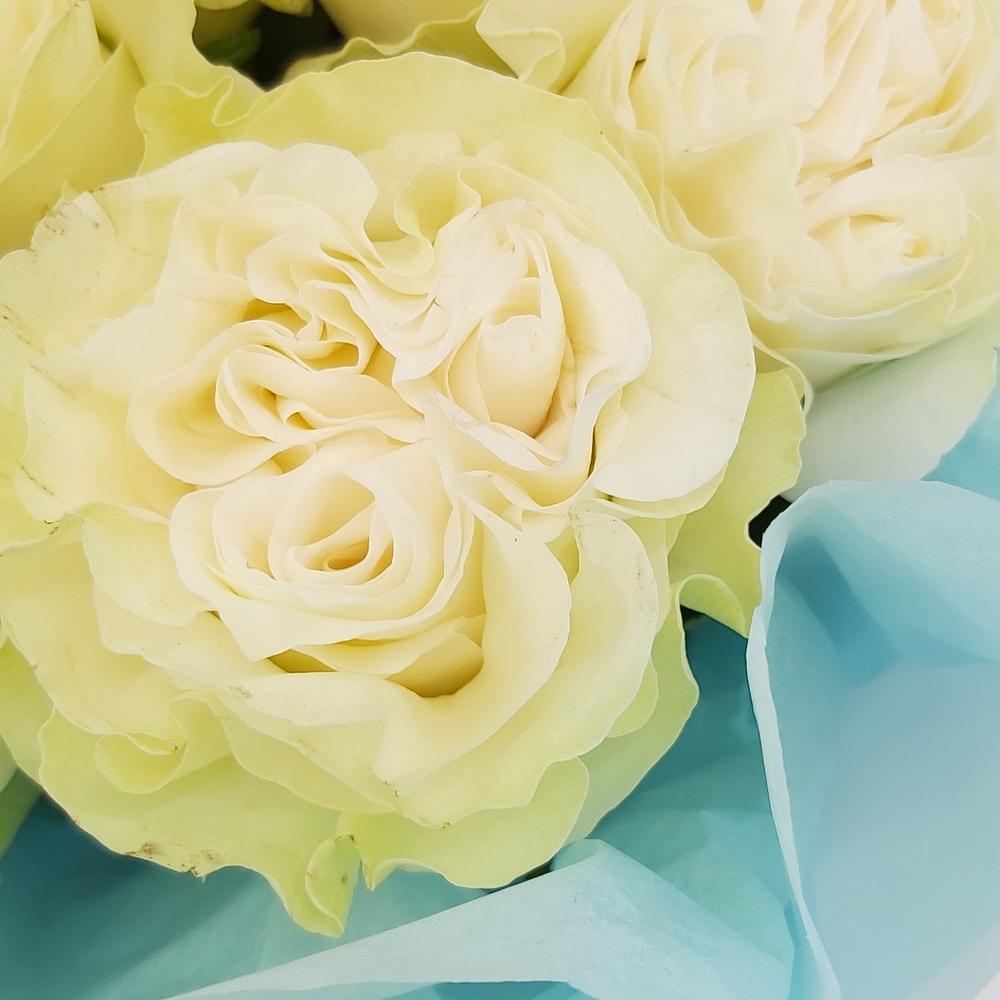 Букет «Кружевное облачко» – 11 белоснежных роз в нежной упаковке Еманжелинск Челябинская область