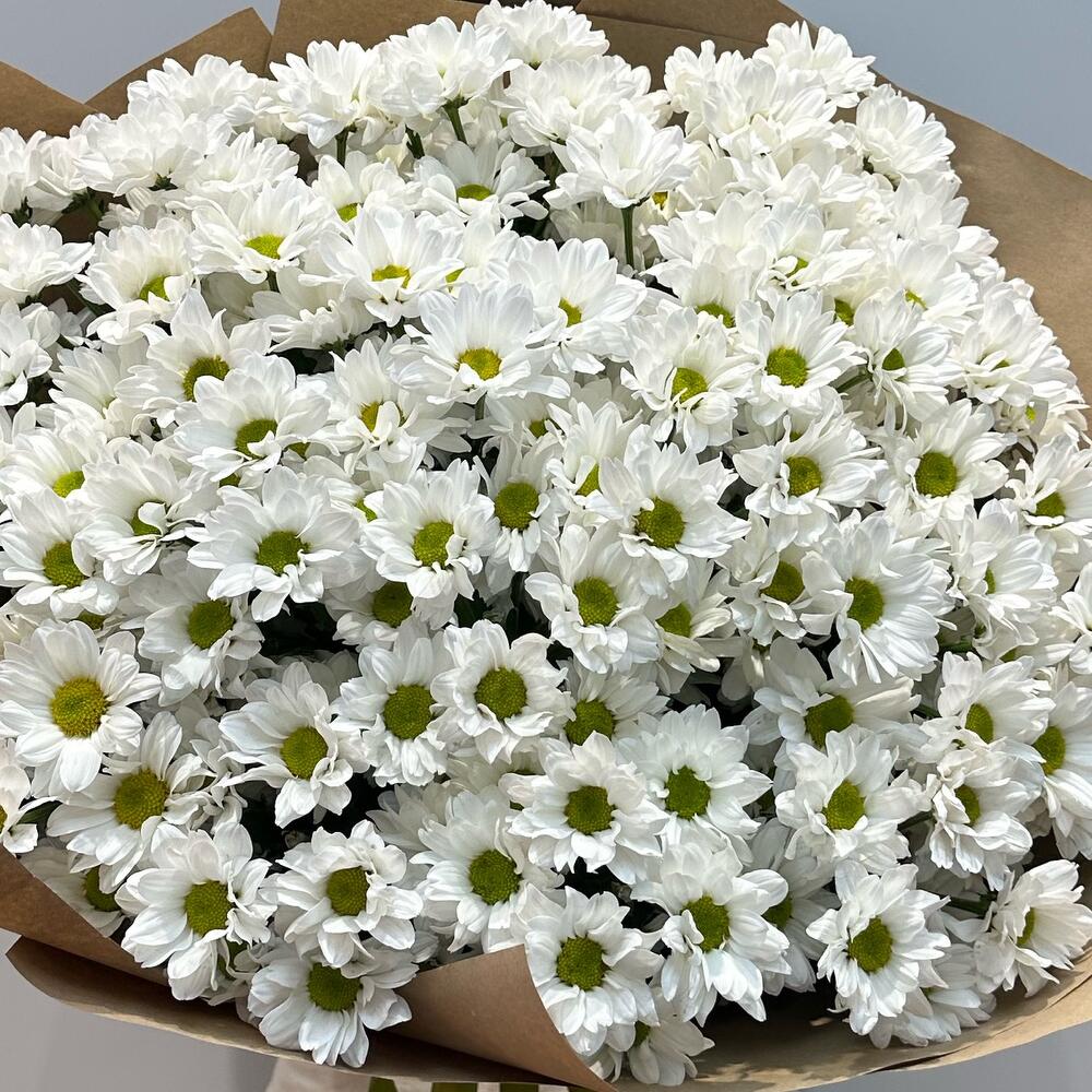 Букет «21 ромашка» – нежные белые кустовые хризантемы в натуральном стиле Еманжелинск Челябинская область