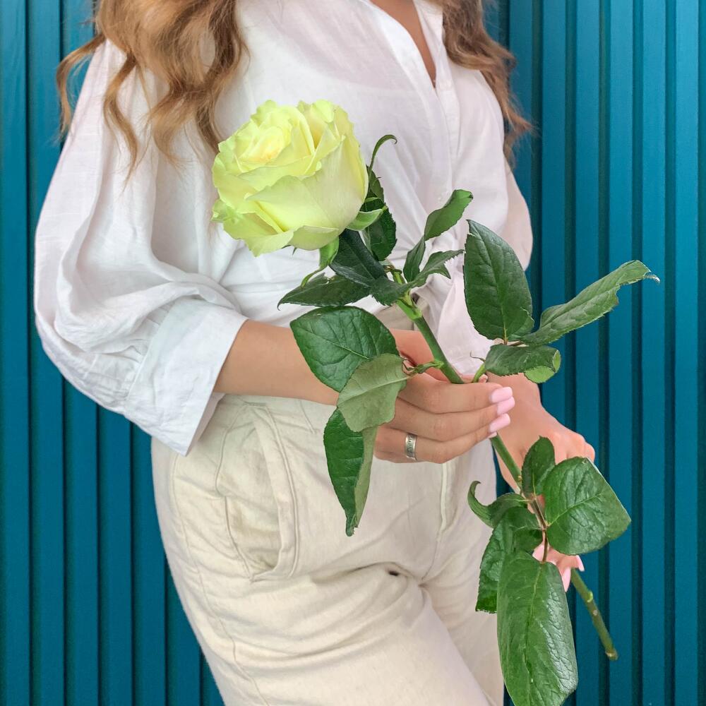 Комплимент из белой эквадорской розы – элегантность в каждом лепестке Еманжелинск Челябинская область