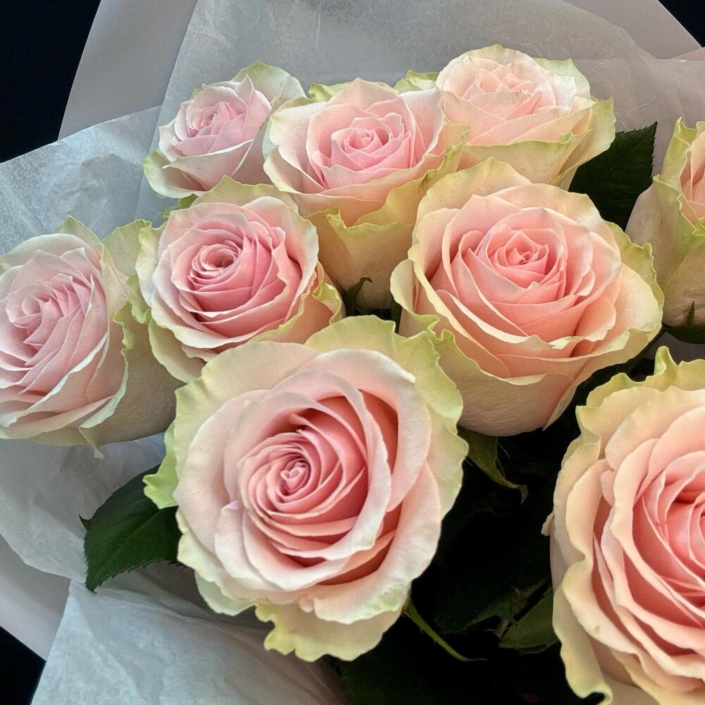 Букет из 9 розовых роз – нежность в каждом лепестке Еманжелинск Челябинская область