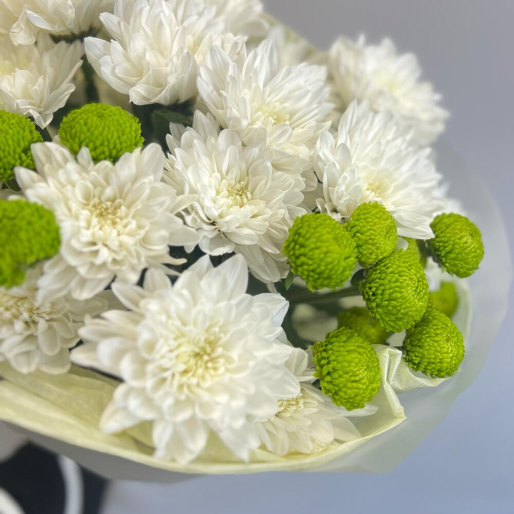 Эксклюзивный букет «Филин Грин» – сочетание белых и зеленых хризантем Еманжелинск Челябинская область