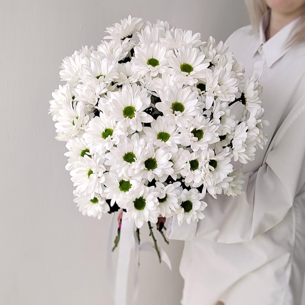 Букет «Ромашка» – 9 белоснежных хризантем в деревенском стиле Еманжелинск Челябинская область