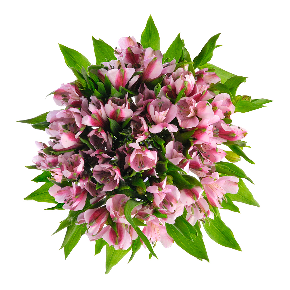 Букет «Хорошее настроение» из розовых альстромерий – солнечный подарок Еманжелинск Челябинская область