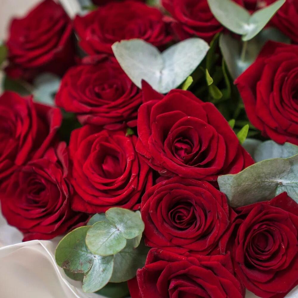 Элегантный букет из 15 красных роз с эвкалиптом – символ страсти и нежности Еманжелинск Челябинская область
