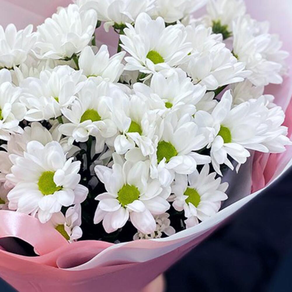 Букет «Розовое счастье» – нежность белых хризантем Еманжелинск Челябинская область