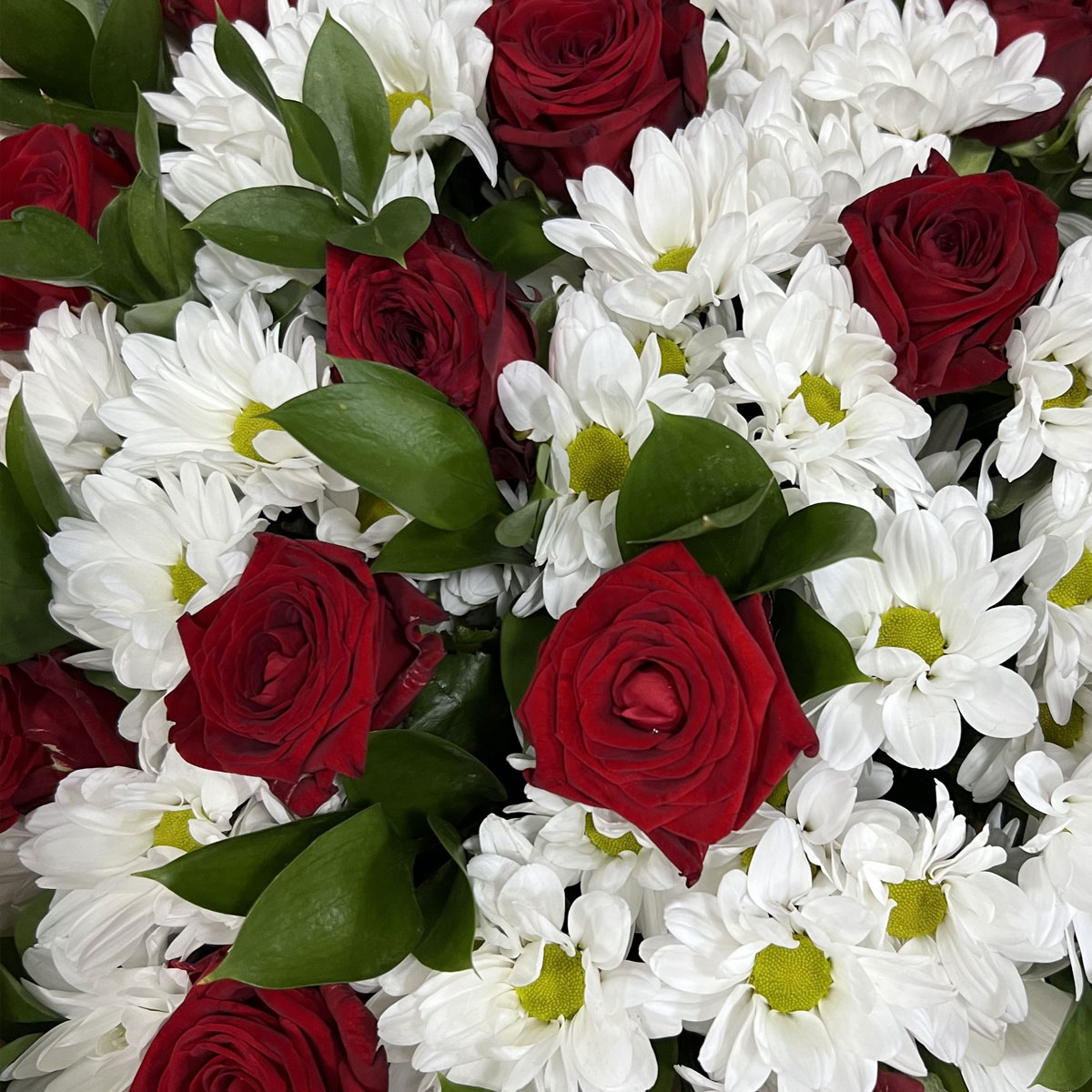 Букет «Романтика» — гармония красных роз и белоснежных хризантем Еманжелинск Челябинская область