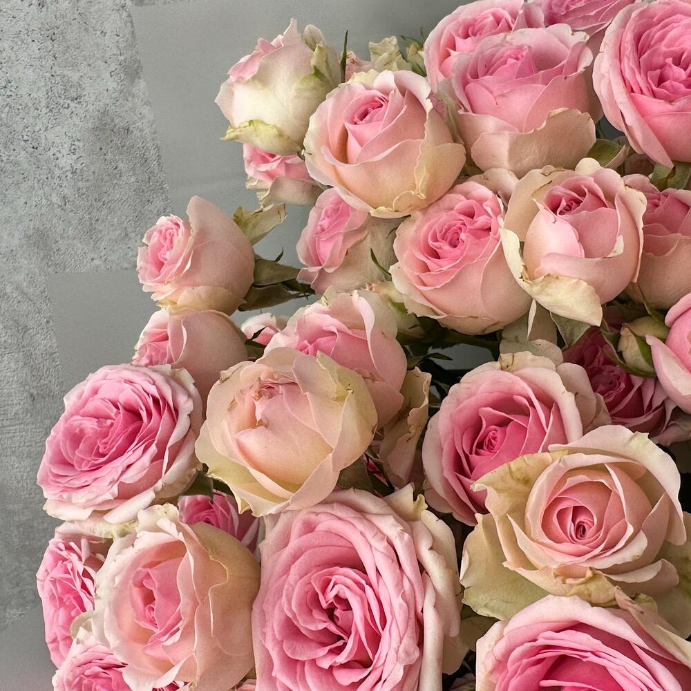 Букет «Нежный аромат» – пышные розовые кустовые розы в элегантной упаковке Еманжелинск Челябинская область